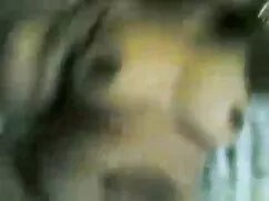 হাড়, বাংলা চুদার বি ...