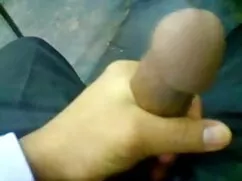 একটি পূর্ণবয়স্ক মেয ...