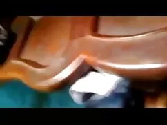 তিনি বাংলা চুদাচুদির ...
