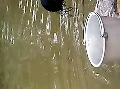 অপেশাদার, প্রথম কুঁচ ...