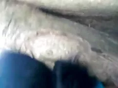 অপেশাদার, চুদাচুদি ভ ...