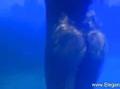 দাসত্ব, প্রতিমা, হার ...