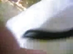 দুর্দশা, মাই এর, চুদ ...