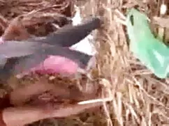 ক্রস বাংলা চুদা চুদি ...