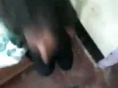 ক্যামেরার সামনে বাঙা ...