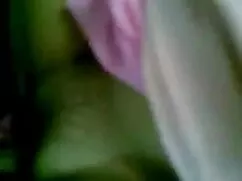 ব্লজব মাই এর ইন্ডিয় ...