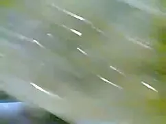 স্বর্ণকেশী, সুন্দরী  ...