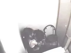 তিনে মিলে, দ্বৈত মেয ...