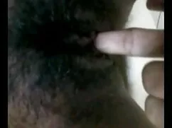লাজুক চূড়ান্ত কোড ব ...
