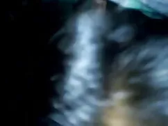 একটি কাচের দানি মধ্য ...