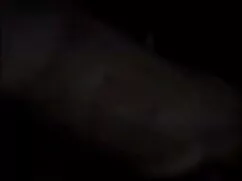 মোরগ বিস্তারিত বিবরণ ...