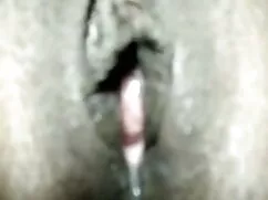 দাসত্ব, রসালো, বাঁড় ...