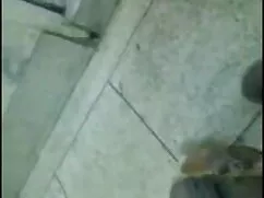 টারমিনে চুদাচুদির হট ...