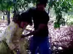 ছাত্র এবং গল্প এমআইট ...