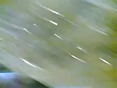 তিনে মিলে বাঁড়ার বা ...