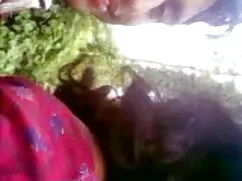 দ্রুত ভাবির চুদাচুদি ...