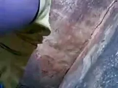 বোন বিপুল খেলনা, পরা ...