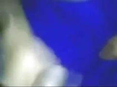সর্বশেষ নিতে 2 মোরগ  ...