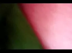 দৃশ্য-অ্যান রাইস সেক ...