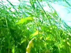 স্বামী ও স্ত্রী চুদা ...
