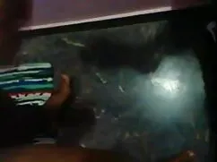 স্বর্ণকেশী, বাঁড়ার  ...
