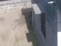 খেলনা, চুদাচুদির বাং ...