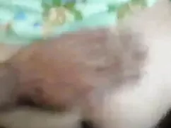 পা / হাঙ্গেরি আনন্দ  ...