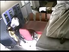 বড়ো মাই পর্নোতারকা  ...
